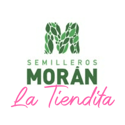 Semilleros Morán