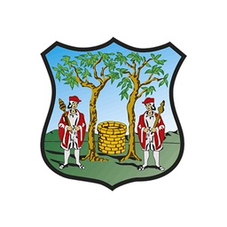 Ayuntamiento de Montijo
